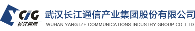 武汉老子有钱lzyq88通信产业集团股份有限公司